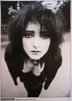 Siouxsie Sioux and the Banshees UK внос САЩ доставка коприна плакат стена стикер декорация подарък