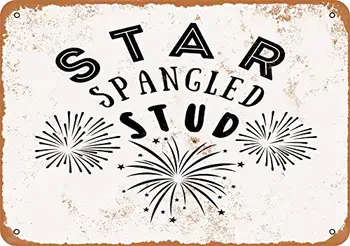 Метален знак - Star Spangled Stud - реколта поглед стена декор за кафе бар кръчма Начало Декорация на бира занаяти